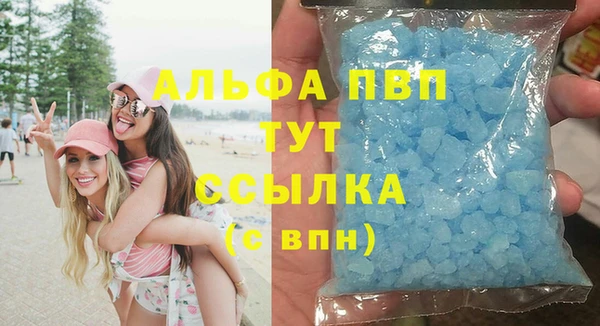 прущие грибы Волосово